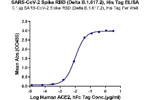 Immobilized SARS-CoV-2 Spike RBD (Delta B.