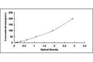 ELISA image for Complement Factor B (CFB) ELISA Kit (ABIN414993)