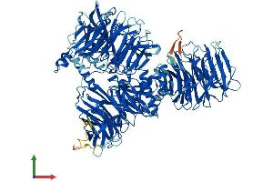 Protein Structure (PS) image for Splicing Factor 3b, Subunit 3, 130kDa (SF3B3) (AA 1-1217) protein (His tag) (ABIN7555422)