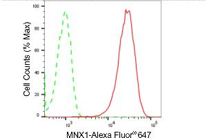 Flow cytometric analysis of MNX1 expression in HepG2 cells using MNX1 antibody (ABIN7799484), 1:2,000). (Recombinant MNX1 抗体)