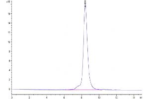 Size-exclusion chromatography-High Pressure Liquid Chromatography (SEC-HPLC) image for Interleukin 2 Receptor, alpha (IL2RA) (AA 22-236) protein (His tag) (ABIN7274206)