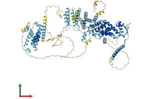 AlphaFold protein structure predicition of Mouse Recombinant Eif3c Protein, UniprotID Q8R1B4