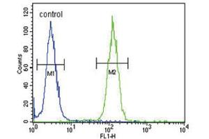 Flow Cytometry (FACS) image for anti-Nuclear Receptor Coactivator 7 (NCOA7) antibody (ABIN3004220) (NCOA7 抗体)