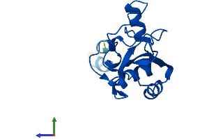 AlphaFold protein structure predicition of Human Recombinant NCBP2L Protein, UniprotID A6PVI3