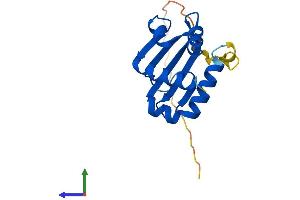 Protein Structure (PS) image for SCP2 Sterol-Binding Domain Containing 1 (SCP2D1) (AA 1-156) protein (His tag) (ABIN7545967)