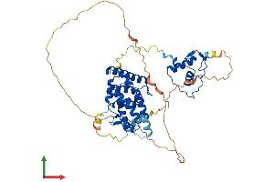 AlphaFold protein structure predicition of Mouse Recombinant Rxra Protein, UniprotID P28700