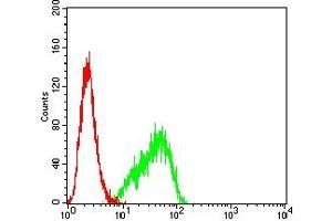 Flow cytometric analysis of THP-1 cells using CD85G mouse mAb (green) and negative control (red).
