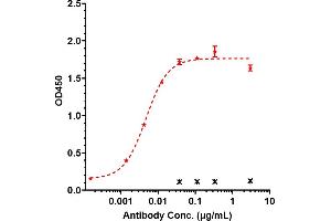Immobilized human CDH17 (His Tag, 2 μg/mL) can bind to anti- Human CDH17( 10C12) with an EC50 of 0.