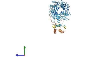 Protein Structure (PS) image for Zinc Finger Protein 234 (ZNF234) (AA 1-700) protein (His tag) (ABIN7545313)