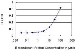 Detection limit for recombinant GST tagged PRKX is 1 ng/ml as a capture antibody. (PRKX 抗体  (AA 269-358))