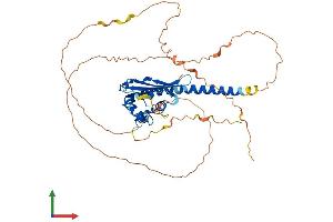 Protein Structure (PS) image for TSPY-Like 1 (TSPYL1) (AA 1-437) protein (His tag) (ABIN7544884)