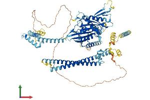 Protein Structure (PS) image for Kinesin Family Member 9 (KIF9) (AA 1-790) protein (His tag) (ABIN7556296)