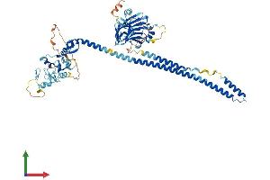 Protein Structure (PS) image for Tripartite Motif Containing 47 (TRIM47) (AA 1-641) protein (His tag) (ABIN7559070)