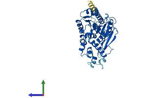 AlphaFold protein structure predicition of Mouse Recombinant Abhd2 Protein, UniprotID Q9QXM0