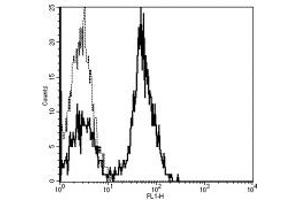 Image no. 1 for anti-CD28 (CD28) antibody (FITC) (ABIN474159) (CD28 抗体  (FITC))