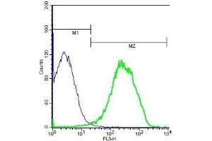 Mouse splenocytes probed with Rabbit Anti-IL-22 Polyclonal Antibody, PE-Cy5 Conjugated . (IL-22 抗体  (AA 35-179))