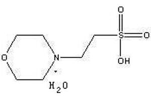 Image no. 1 for MES Monohydrate Ultra (ABIN1536244)