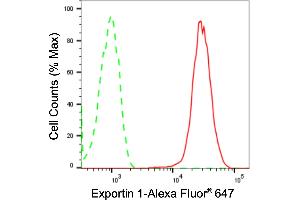 Flow cytometric analysis of Exportin 1 expression in HepG2 cells using Exportin 1 antibody (ABIN7798550), 1:2,000). (Recombinant XPO1 抗体)
