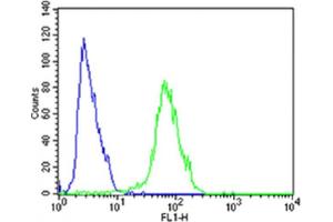 Flow cytometric analysis of SH-SY5Y cells using FGFR1 Antibody (Center)(green, Cat(ABIN6243223 and ABIN6577702)) compared to an isotype control of rabbit IgG(blue). (FGFR1 抗体  (AA 291-324))