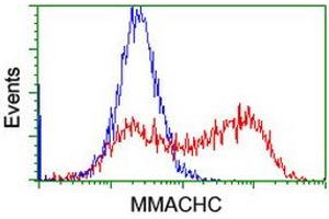 Flow Cytometry (FACS) image for anti-Methylmalonic Aciduria (Cobalamin Deficiency) CblC Type, with Homocystinuria (MMACHC) antibody (ABIN1499513) (MMACHC 抗体)