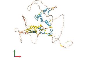 Protein Structure (PS) image for Zinc Finger Protein 276 (ZNF276) (AA 1-614) protein (His tag) (ABIN7545455)
