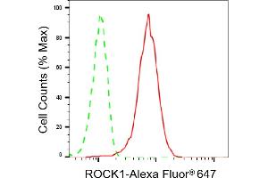 Flow cytometric analysis of ROCK1 expression in HeLa cells using ROCK1 antibody (ABIN7800203), 1:2,000).