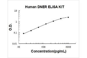 delta/notch-Like EGF Repeat Containing (DNER) ELISA Kit