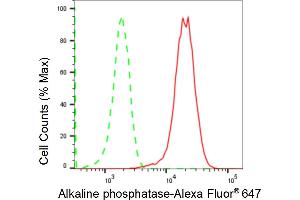 Flow cytometric analysis of Alkaline phosphatase expression in HeLa cells using Alkaline phosphatase antibody (ABIN7797575), 1:2,000). (Recombinant Alkaline Phosphatase 抗体)