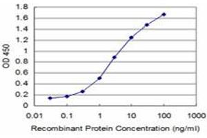 Detection limit for recombinant GST tagged HEY1 is approximately 0. (HEY1 抗体  (AA 121-220))