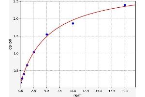 Typical standard curve