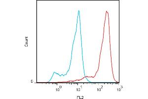 Flow cytometry analysis (surface staining) of FOLR2 transfectants (red) with anti-human FOLR2 (EM-35) PE, compared with blank (blue). (FOLR2 抗体  (PE))