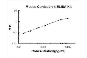 Contactin 4 (CNTN4) ELISA Kit