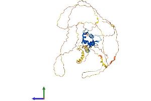 Protein Structure (PS) image for Forkhead Box D2 (FOXD2) (AA 1-492) protein (His tag) (ABIN7562311)