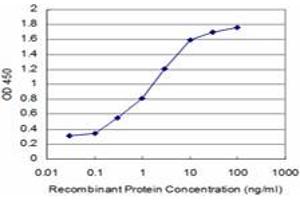 Detection limit for recombinant GST tagged KLF1 is approximately 0. (KLF1 抗体  (AA 183-237))