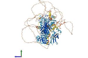 AlphaFold protein structure predicition of Human Recombinant PITPNM2 Protein, UniprotID Q9BZ72