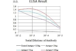Black line: Control Antigen (100 ng),Purple line: Antigen (10 ng), Blue line: Antigen (50 ng), Red line:Antigen (100 ng) (ITGAL 抗体  (AA 26-194))