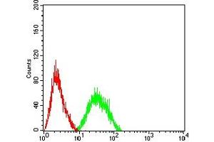 Flow cytometric analysis of Jurkat cells using CD3D mouse mAb (green) and negative control (red). (CD3D 抗体  (AA 127-171))