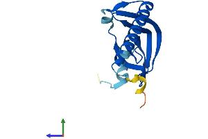 AlphaFold protein structure predicition of Mouse Recombinant Lsm1 Protein, UniprotID Q8VC85