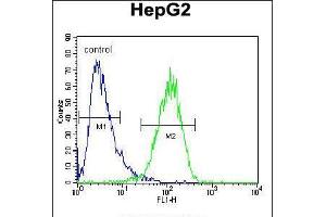 Flow cytometric analysis of HepG2 cells (right histogram) compared to a negative control cell (left histogram). (Hexosaminidase A 抗体  (AA 315-343))