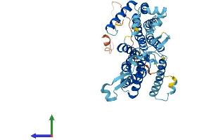 Protein Structure (PS) image for CDP-Diacylglycerol Synthase (Phosphatidate Cytidylyltransferase) 2 (CDS2) (AA 1-444) protein (His tag) (ABIN7560351)