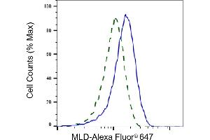 Validation of MLD knockdown using flow cytometry. (Recombinant MBP 抗体)