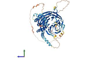 Protein Structure (PS) image for Katanin P80 (WD Repeat Containing) Subunit B 1 (KATNB1) (AA 1-655) protein (His tag) (ABIN7554404)