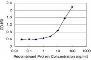 Detection limit for recombinant GST tagged SYN1 is approximately 3ng/ml as a capture antibody. (SYN1 抗体  (AA 362-450))