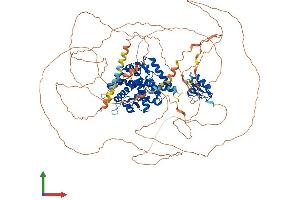 AlphaFold protein structure predicition of Mouse Recombinant Nr3c2 Protein, UniprotID Q8VII8
