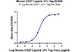 ELISA image for CD70 Molecule (CD70) (AA 45-195) protein (Fc Tag) (ABIN7274243)