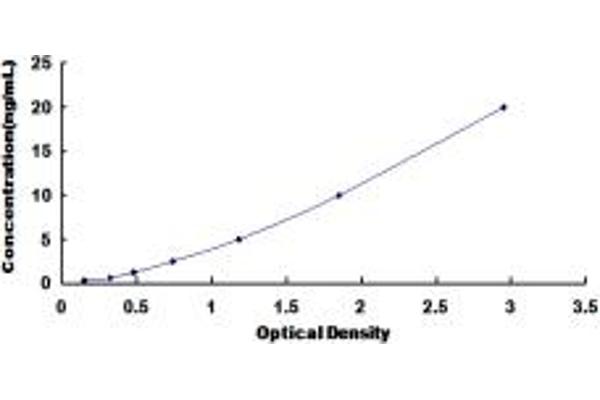 TNPO2 ELISA 试剂盒
