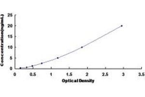 Typical standard curve (TNPO2 ELISA 试剂盒)