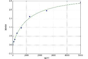 Casein Kinase 2, alpha Prime Polypeptide (CSNK2A2) ELISA Kit