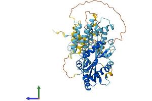 Protein Structure (PS) image for Tigger Transposable Element Derived 2 (TIGD2) (AA 1-525) protein (His tag) (ABIN7556948)
