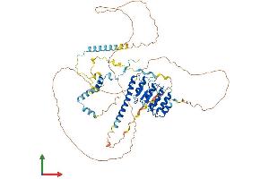 AlphaFold protein structure predicition of Mouse Recombinant Lmod1 Protein, UniprotID Q8BVA4